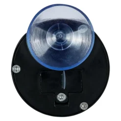 Assorted Animal 2-Minute Flashing Brushing Timers