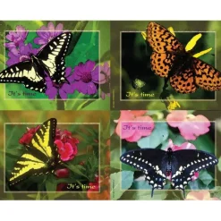 Assorted Butterflies Laser Cards