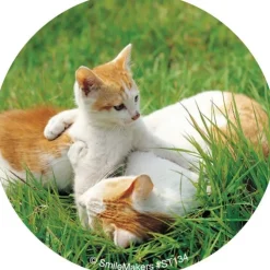 Baby Animals Stickers