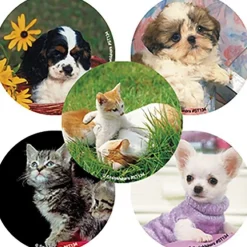 Baby Animals Stickers