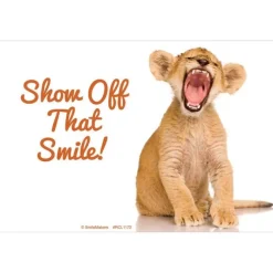 Baby Tiger Smile Recall Cards