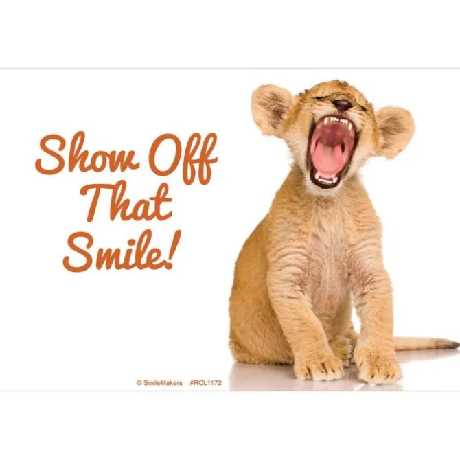 Baby Tiger Smile Recall Cards