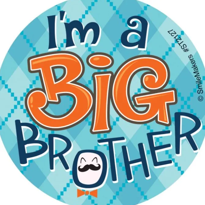 Big Brother Stickers