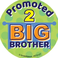 Big Brother Stickers