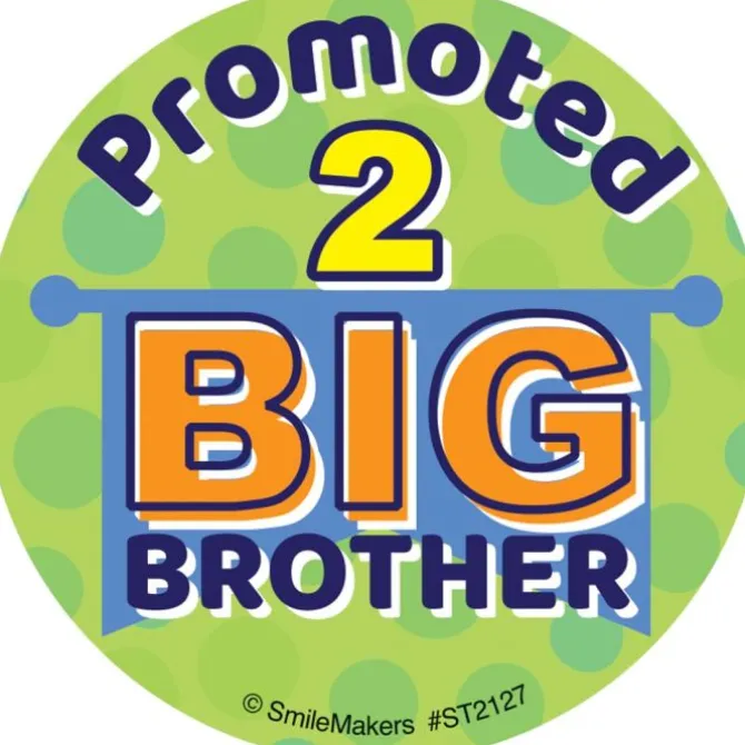 Big Brother Stickers