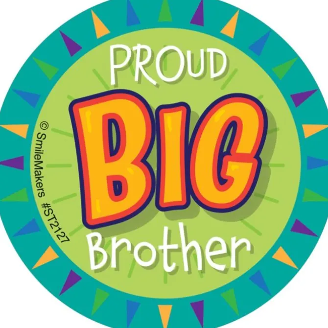 Big Brother Stickers
