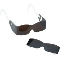 Blue Adult Paper Temple Glasses
