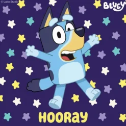 Bluey Sayings Stickers
