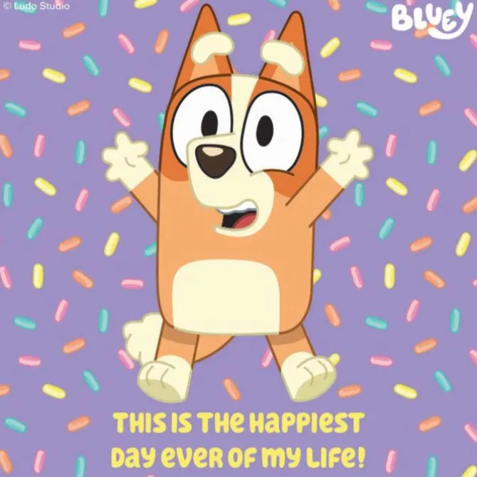 Bluey Sayings Stickers