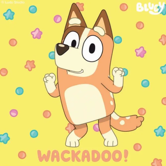 Bluey Sayings Stickers