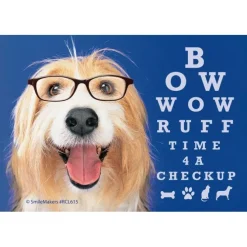 Bow Wow Dogs Eye Chart Recall Cards