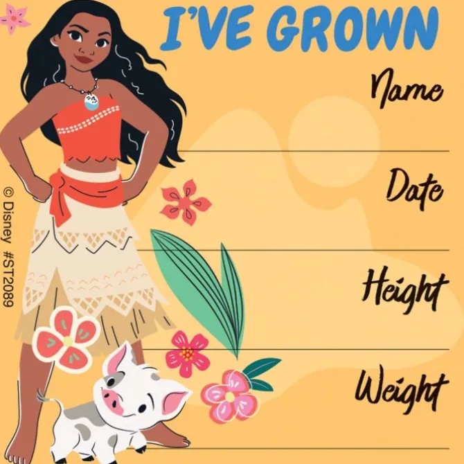 Brave Princess I've Grown Stickers