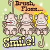Brush, Floss Smile Monkeys Stickers