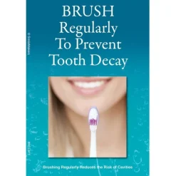 Brush Regularly Recall Cards