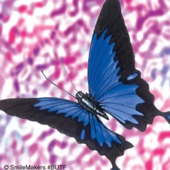 Butterflies Stickers