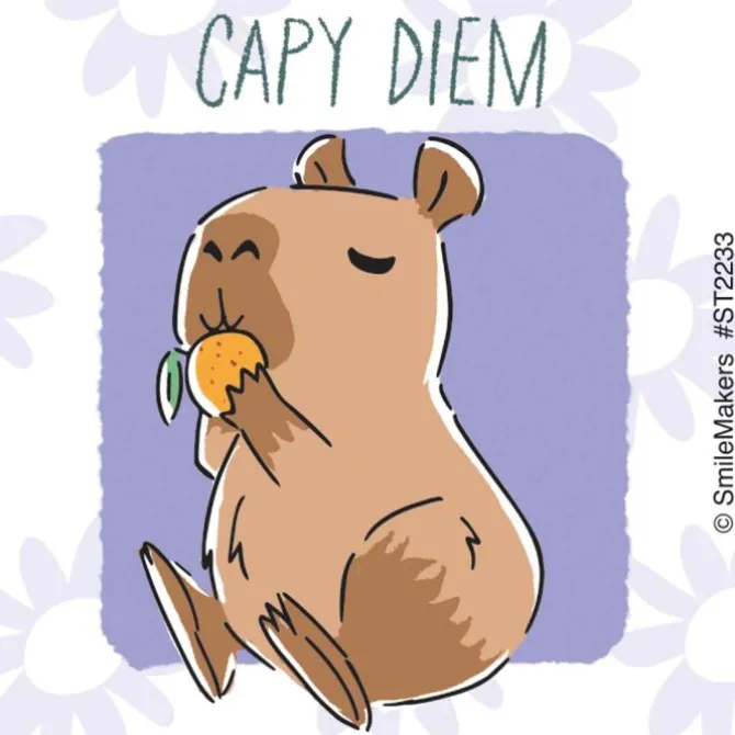 Capybara Puns Stickers
