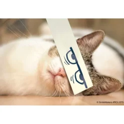 Cartoon Cat Eyes Recall Cards