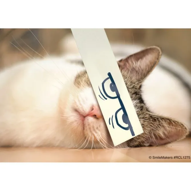Cartoon Cat Eyes Recall Cards