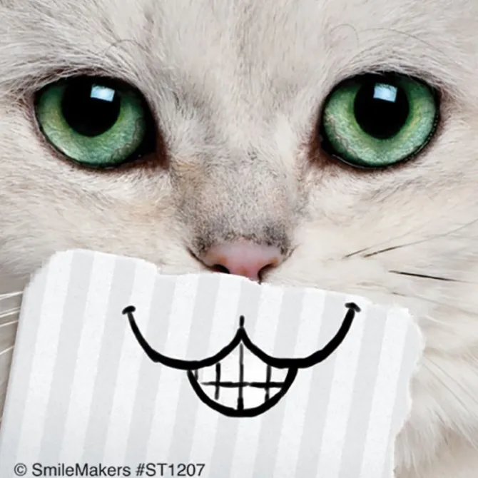 Cat Smiles Stickers