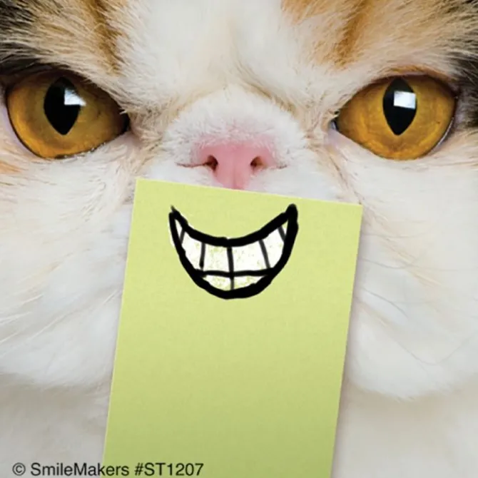 Cat Smiles Stickers