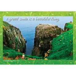 Cliffs Beautiful Thing Recall Cards