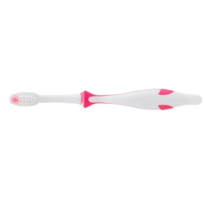 Custom Full Color SmileCare™ Youth Dolphin Toothbrushes - Case