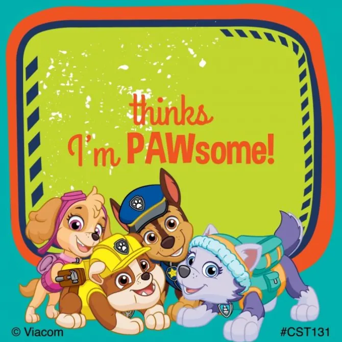 100 Custom PAW Patrol Stickers