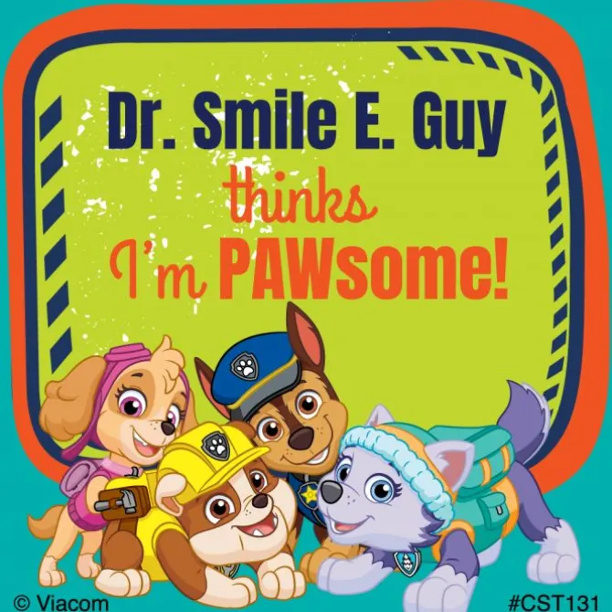 100 Custom PAW Patrol Stickers
