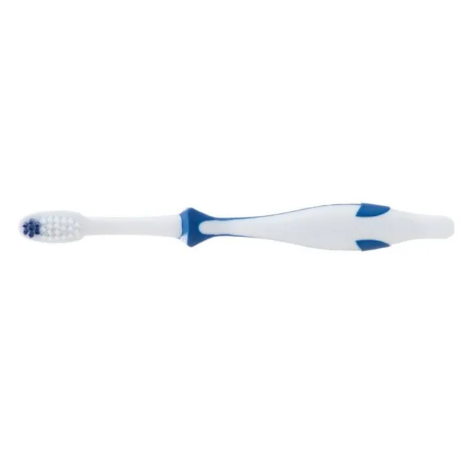 Custom SmileCare™ Youth Dolphin Toothbrushes - Case