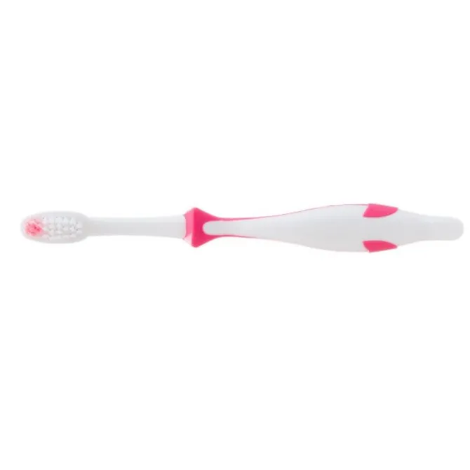 Custom SmileCare™ Youth Dolphin Toothbrushes - Case