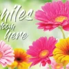 Custom Smiles Bloom Here Recall Cards