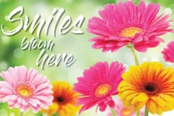 Custom Smiles Bloom Here Recall Cards