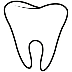 Custom Tooth Shaped Magnets