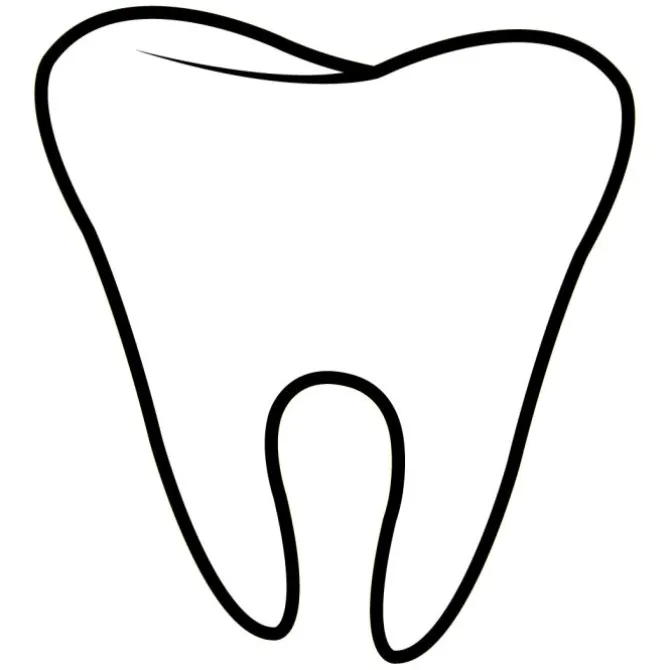 Custom Tooth Shaped Magnets