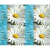 Daisy Dental Laser Cards