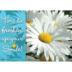 Daisy Dental Recall Cards