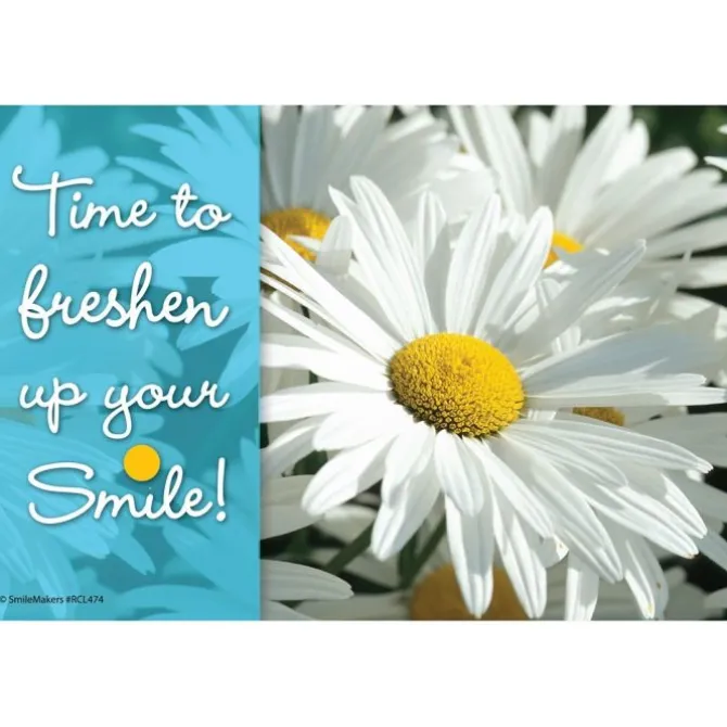 Daisy Dental Recall Cards