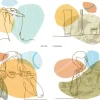 Dental Line Art Laser Recall Cards