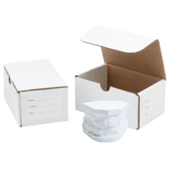 2-Dental Model Storage Boxes