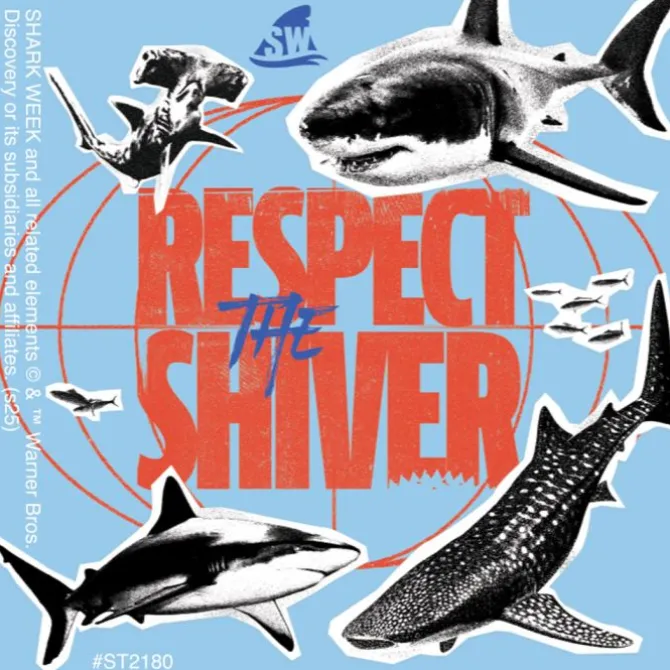Discovery Sharks Stickers