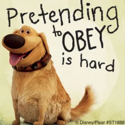 Disney•Pixar Dug Days Stickers