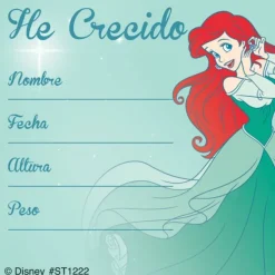 Disney Princess Spanish I've Grown Stickers