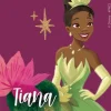 Disney Princess Stickers