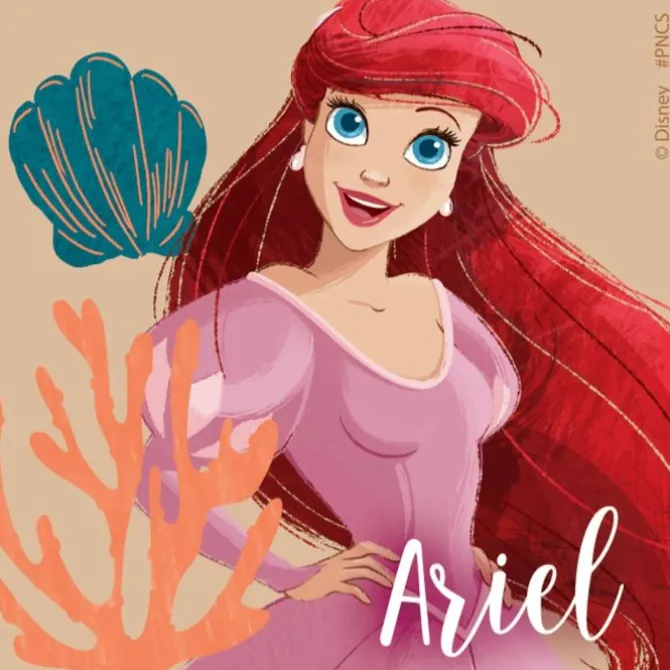 Disney Princess Stickers