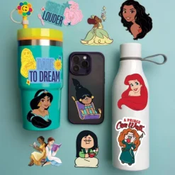 Disney Princess Vinyl Decals