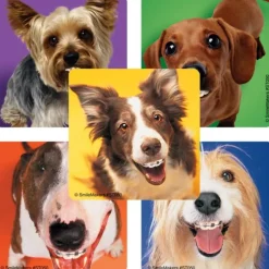 Dogs With Braces Dental Stickers
