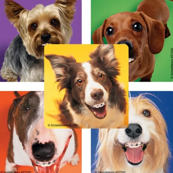 Dogs With Braces Dental Stickers