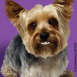 Dogs With Braces Dental Stickers