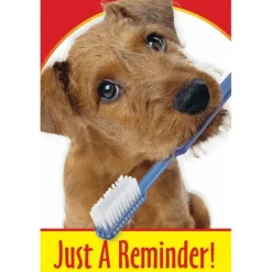 Dog with Toothbrush Recall Cards