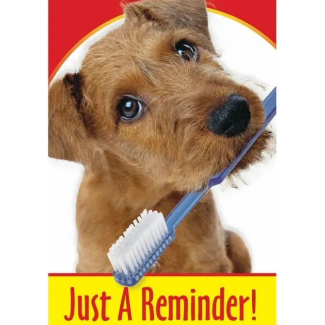 Dog with Toothbrush Recall Cards